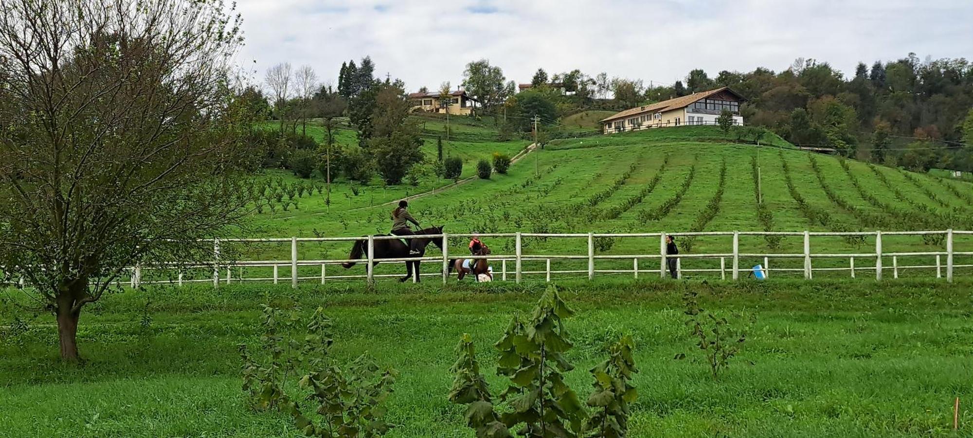 阿尔法诺纳塔Cascina Fazioli别墅 外观 照片