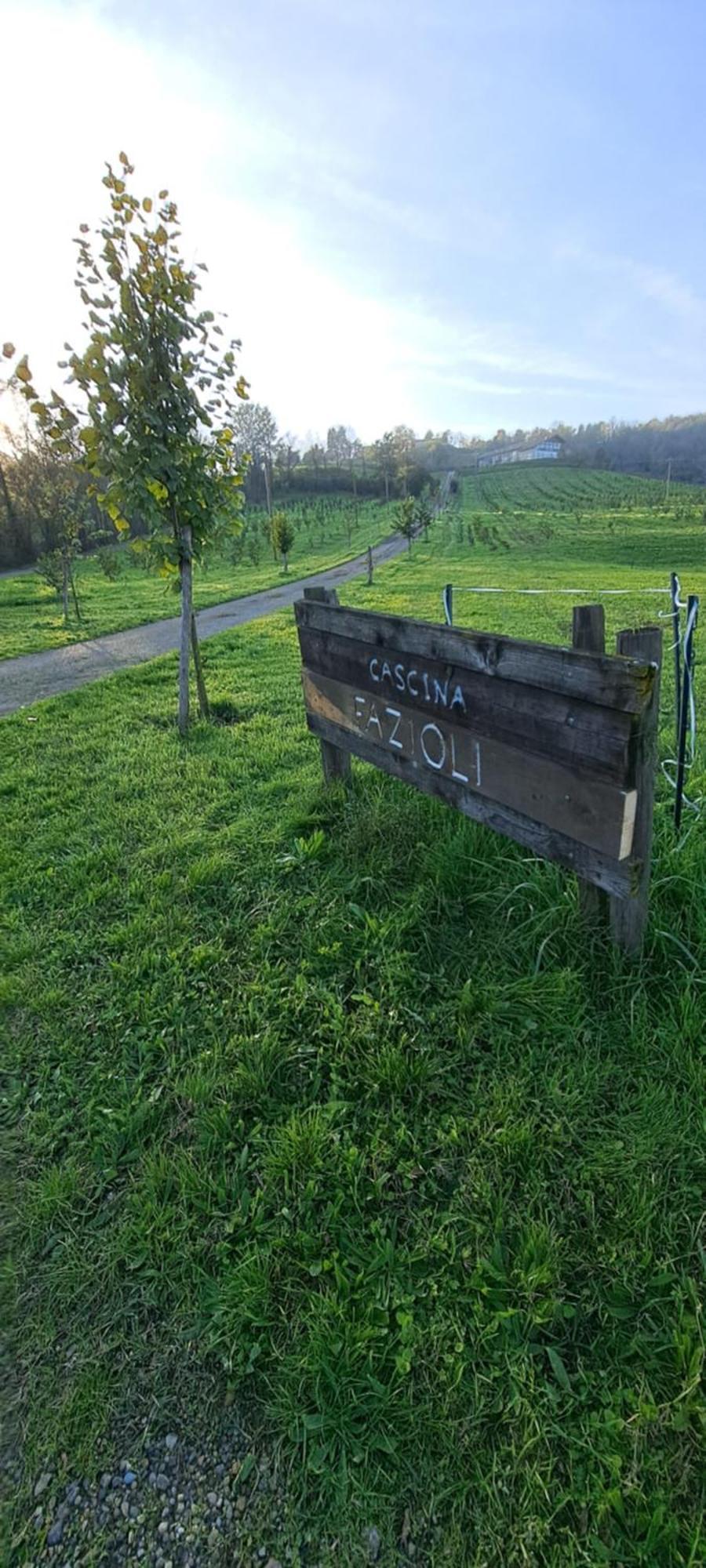 阿尔法诺纳塔Cascina Fazioli别墅 外观 照片